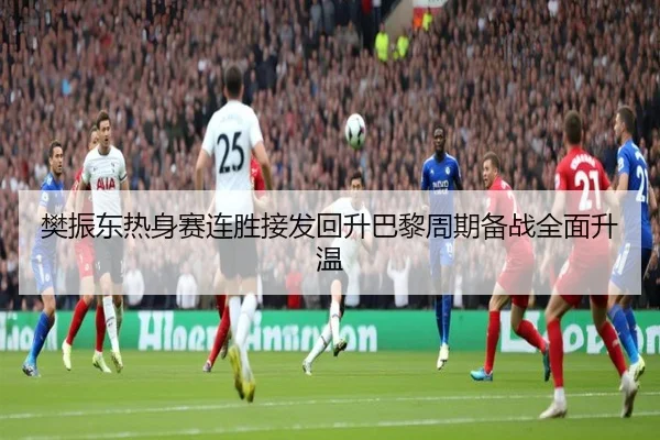 樊振东热身赛连胜接发回升巴黎周期备战全面升温